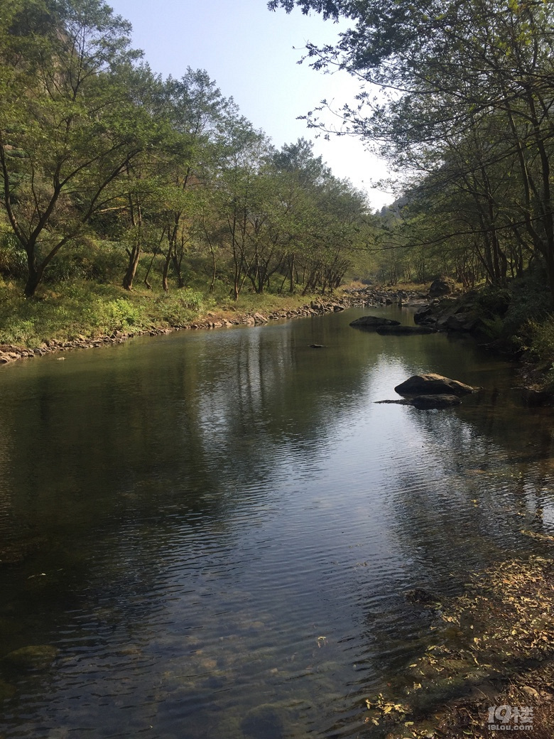 我是一匹来自北方的狼,却在南方冻成了狗
