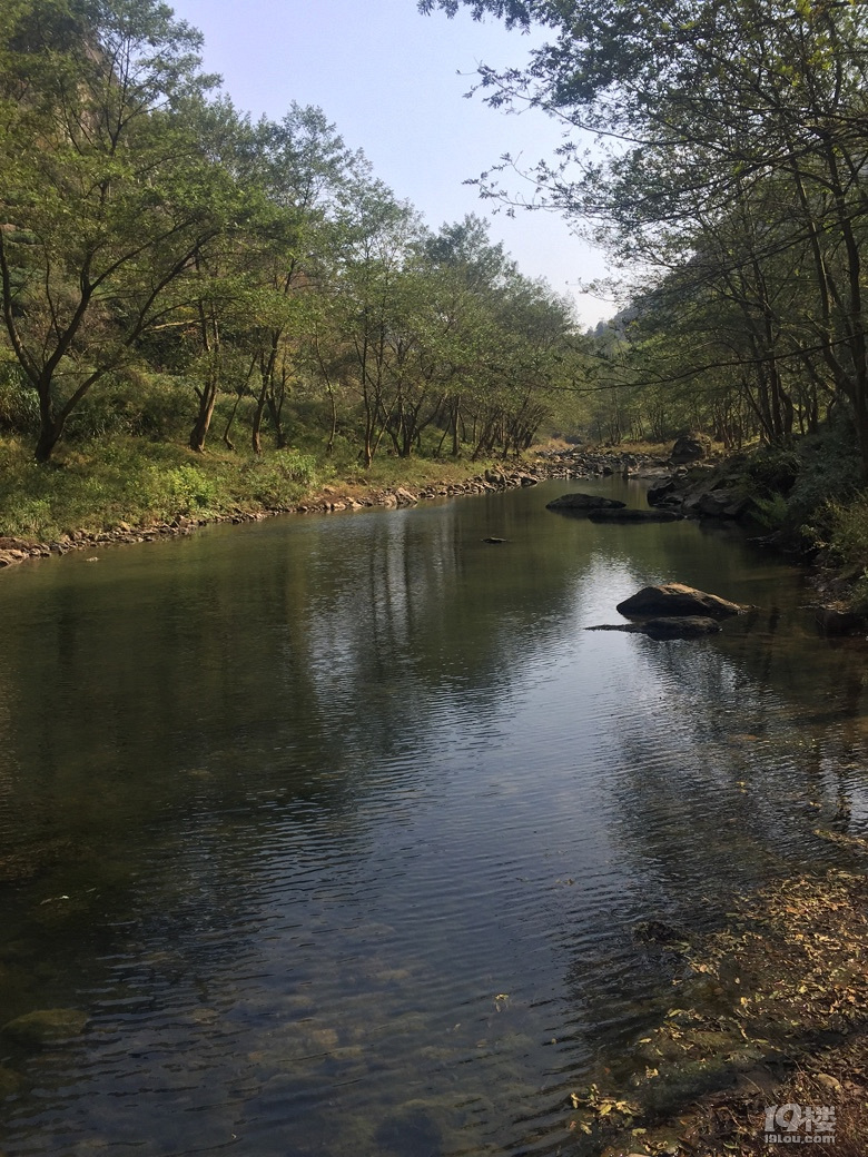 我是一匹来自北方的狼,却在南方冻成了狗