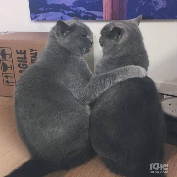 一家人就要整整齐齐