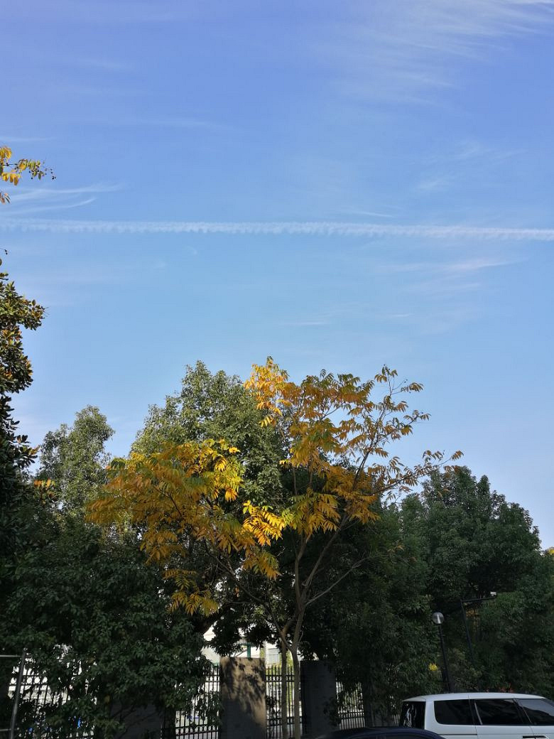 周末,今天天气不错!