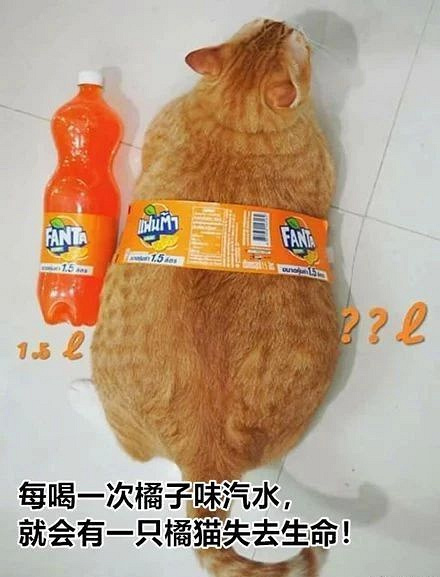 橘子味汽水pixiv图片