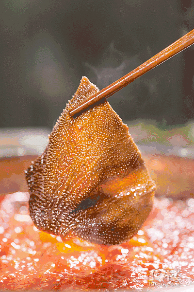 涮毛肚你会松开筷子吗会的话请收下我的膝盖