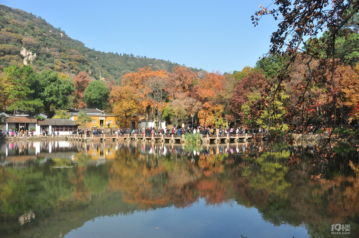 蘇州天平山之五彩楓