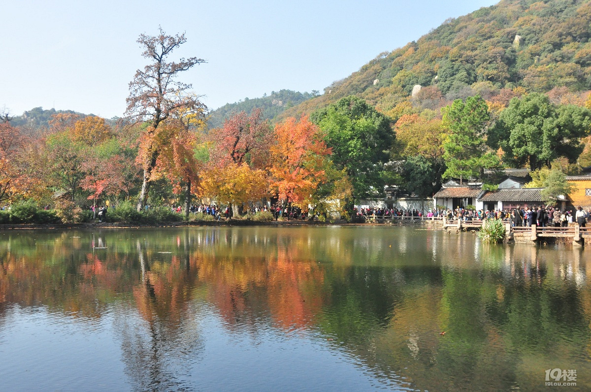蘇州天平山之五彩楓