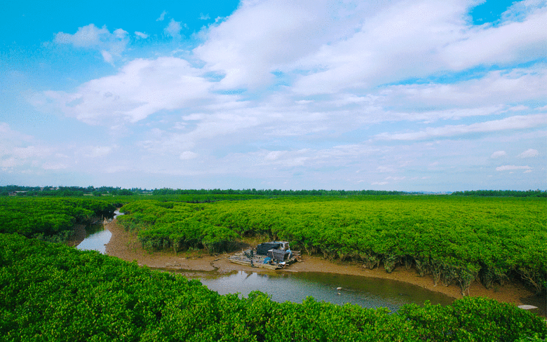 下饭神器吃海鲜长大淘汰率90的头道海鸭蛋蟹黄般滋味