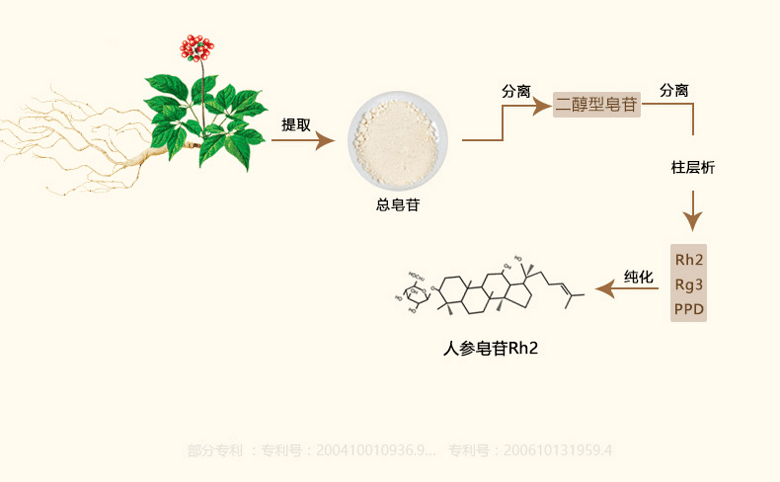 人參皂苷rh2與人參皂苷的區別