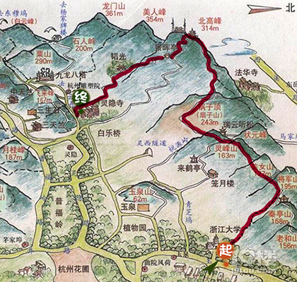 这个周日,来北高峰捡树种吧