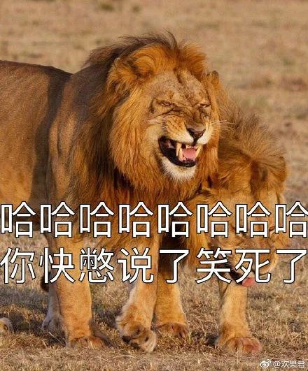 猫科动物的本性:"哈哈哈哈哈快别说了,要笑死了!