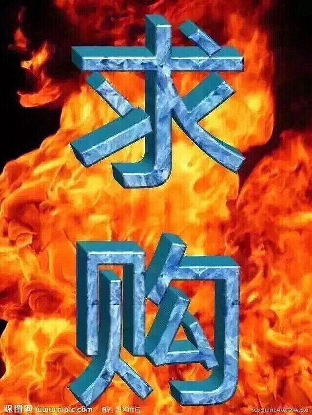 求购!家养美短加白成年5个,公母都要,布