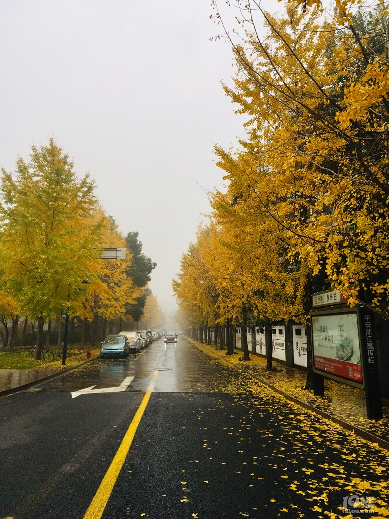 发现路边的美