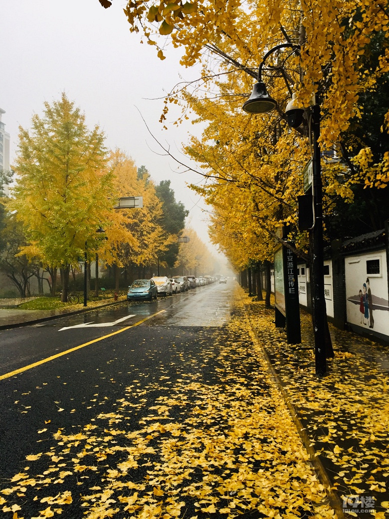 发现路边的美
