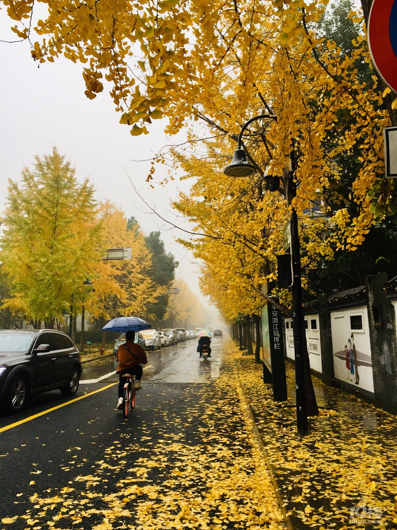 发现路边的美