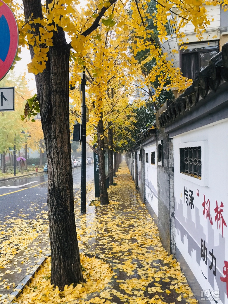 发现路边的美