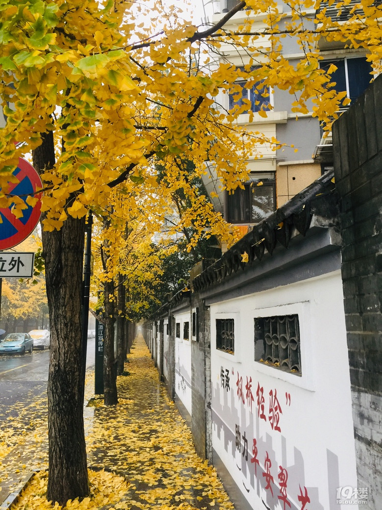 发现路边的美