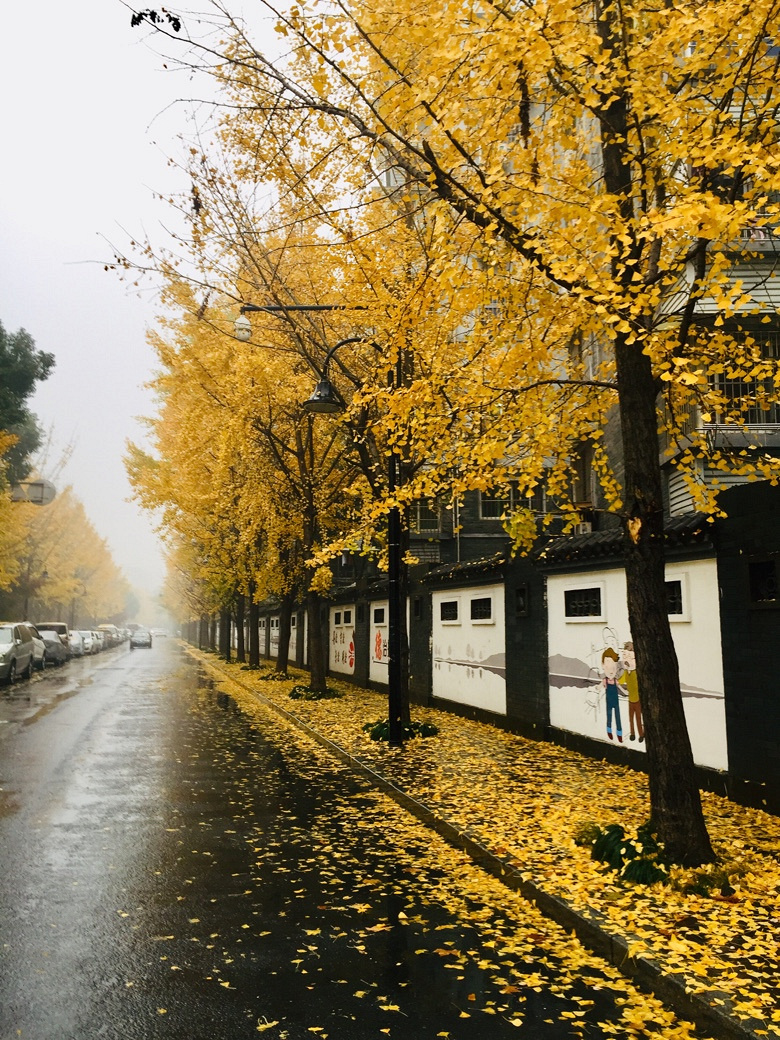 发现路边的美
