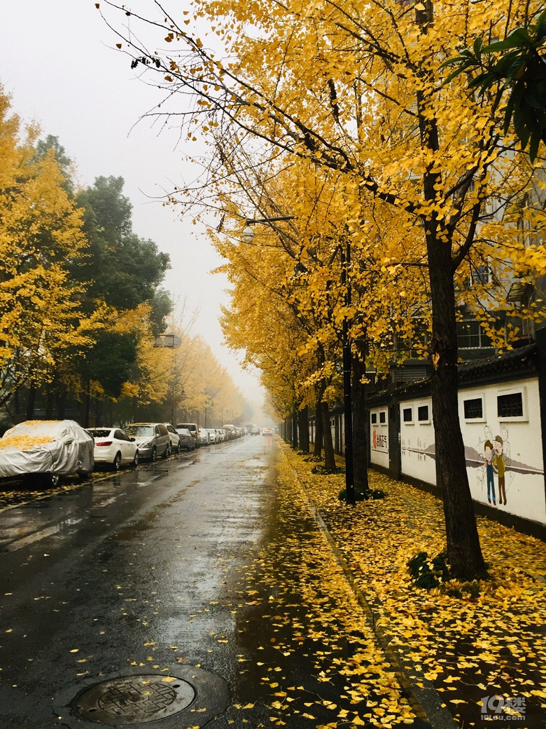 发现路边的美