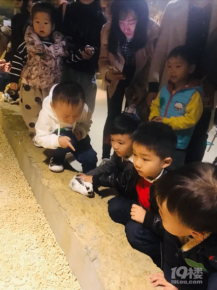 看萌物了,天都城組織萌娃來(lái)到幼兒園參觀