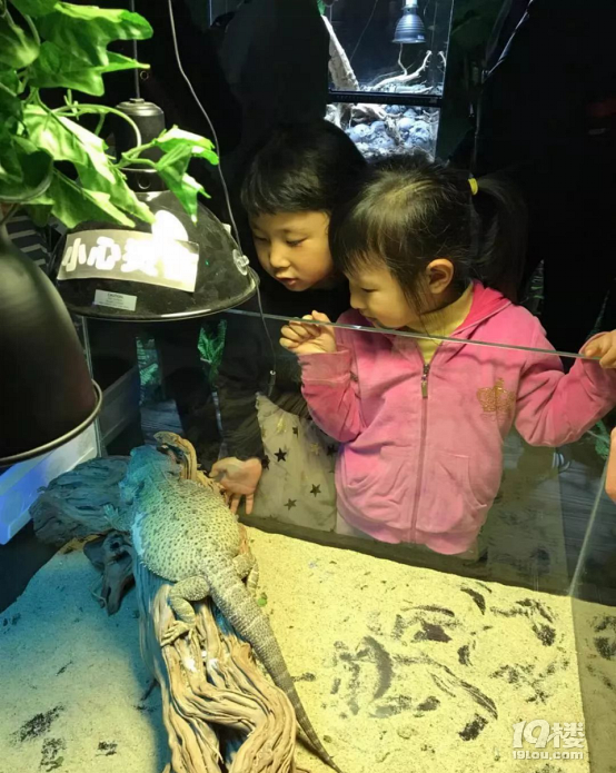 看萌物了,天都城組織萌娃來(lái)到幼兒園參觀