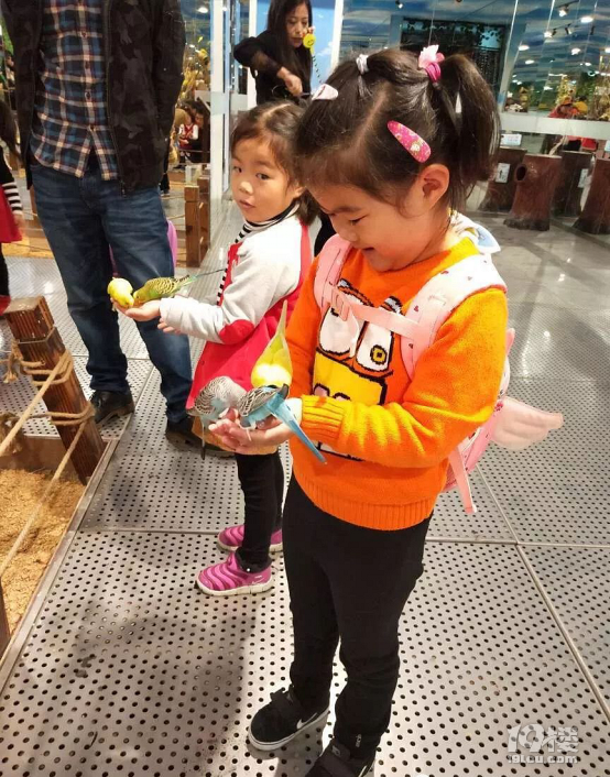 看萌物了,天都城組織萌娃來(lái)到幼兒園參觀