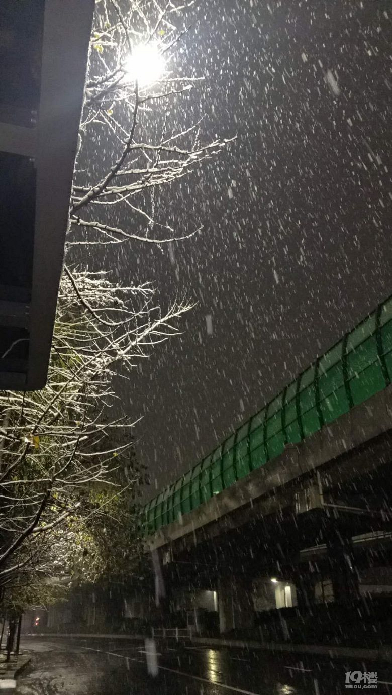 割腕然后又跑外面發(fā)呆