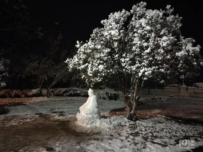 昨天晚上堆的雪人