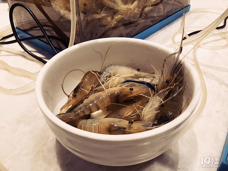 【8隊(duì)】天冷有三寶,火鍋、鹵味和燒烤