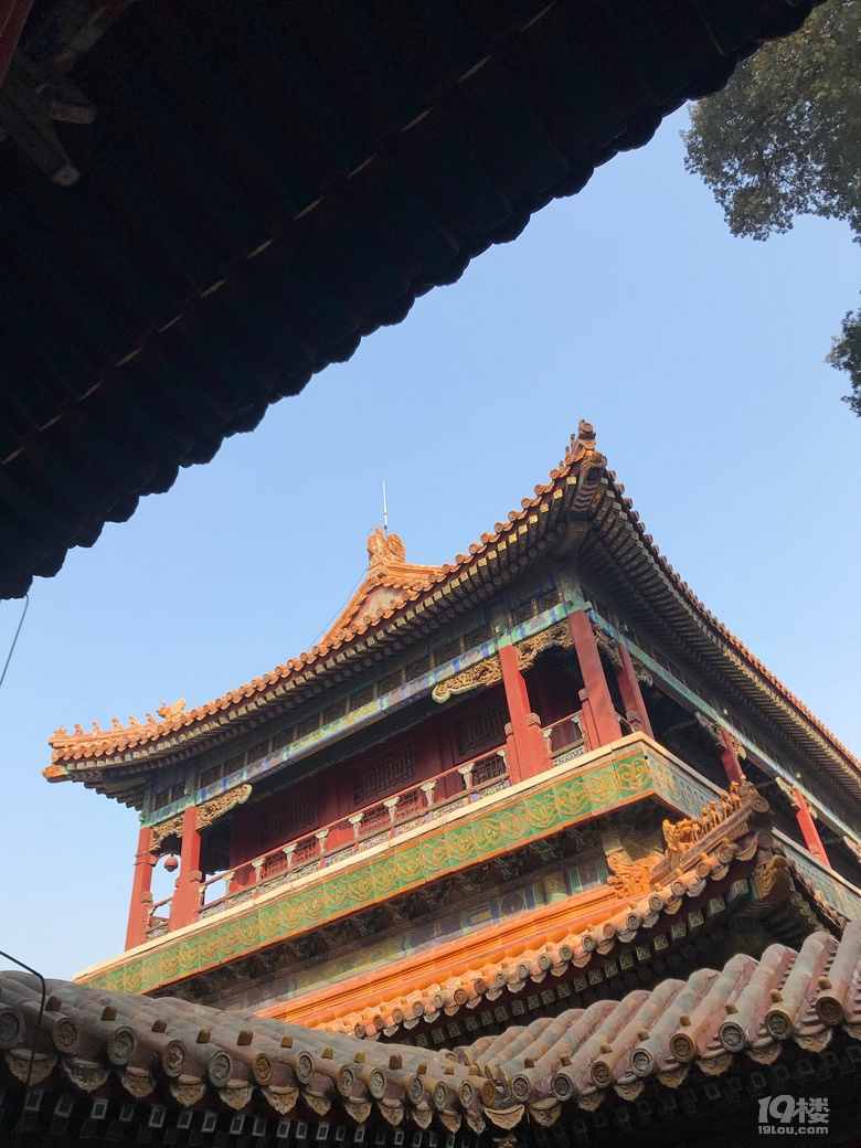 2019我要上臺歷，此帖也需要屏蔽老板