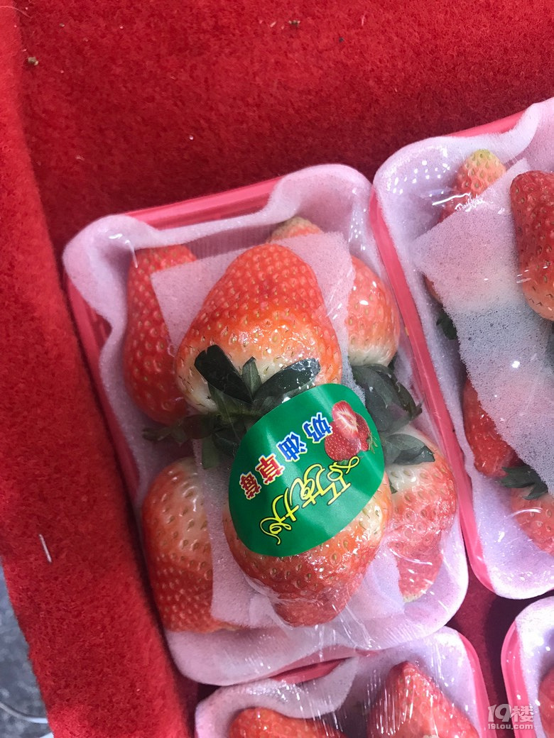 F(xin)r ݮՓwu