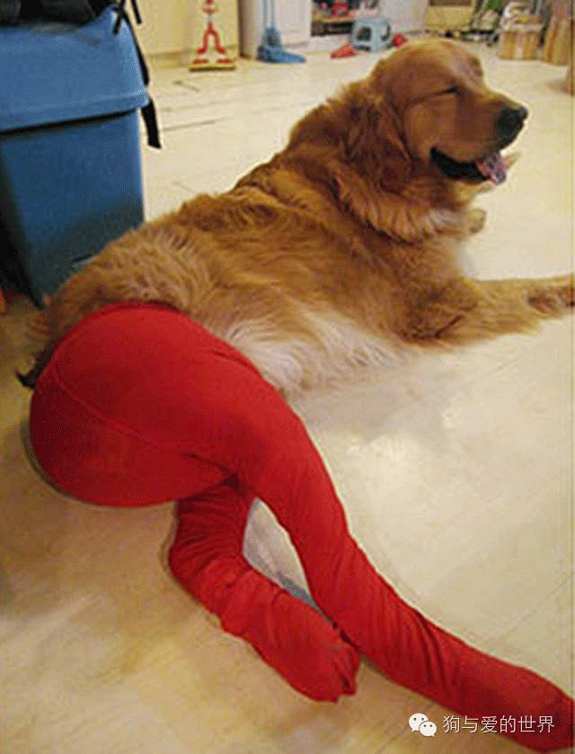 这妖娆的姿势也是醉了