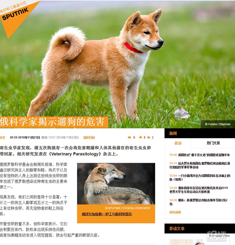 俄科學(xué)家揭示遛狗的危害