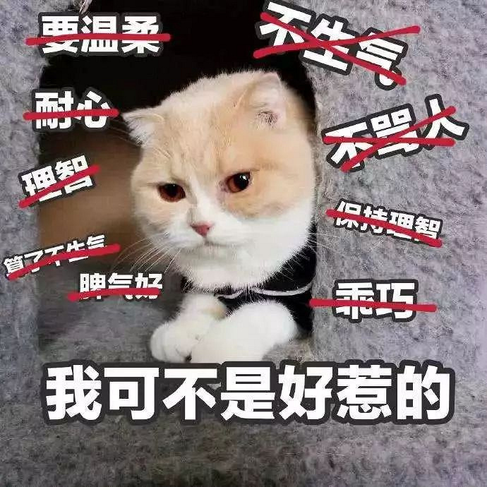 人要面子,那猫呢?