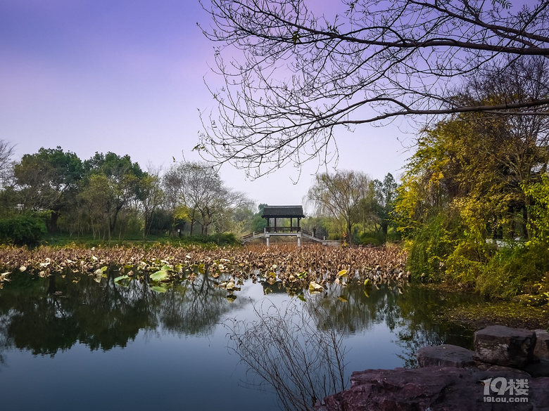 蓮花灘，西溪濕地又推出新的免費(fèi)玩的地方了。。。。