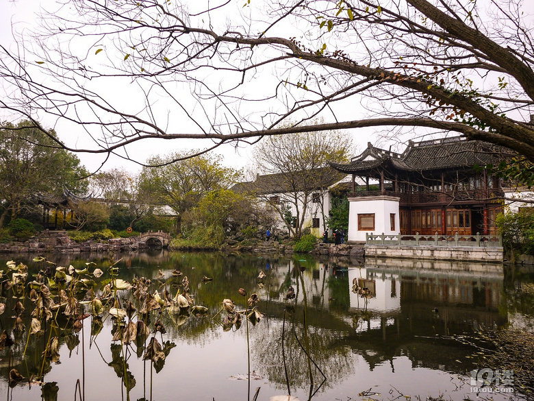 蓮花灘，西溪濕地又推出新的免費(fèi)玩的地方了。。。。