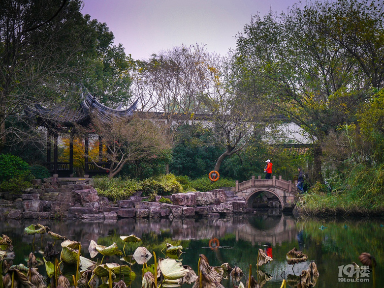蓮花灘，西溪濕地又推出新的免費(fèi)玩的地方了。。。。