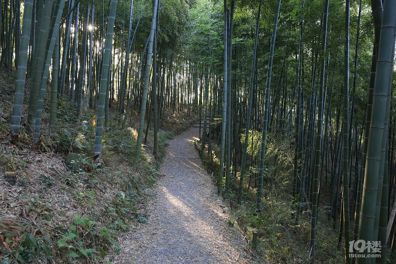 【2019我要上臺(tái)歷】——東游西逛，登山徒步，大美山川