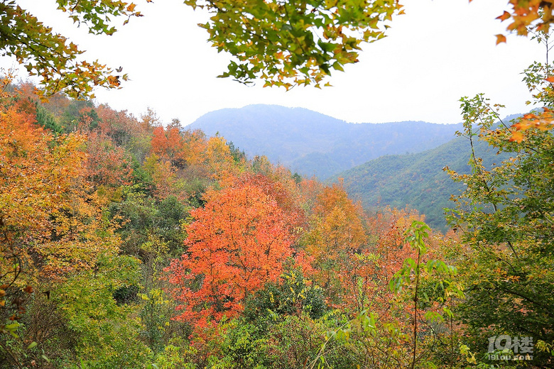 【2019我要上臺(tái)歷】——東游西逛，登山徒步，大美山川