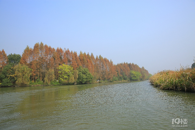 【2019我要上臺(tái)歷】——東游西逛，登山徒步，大美山川