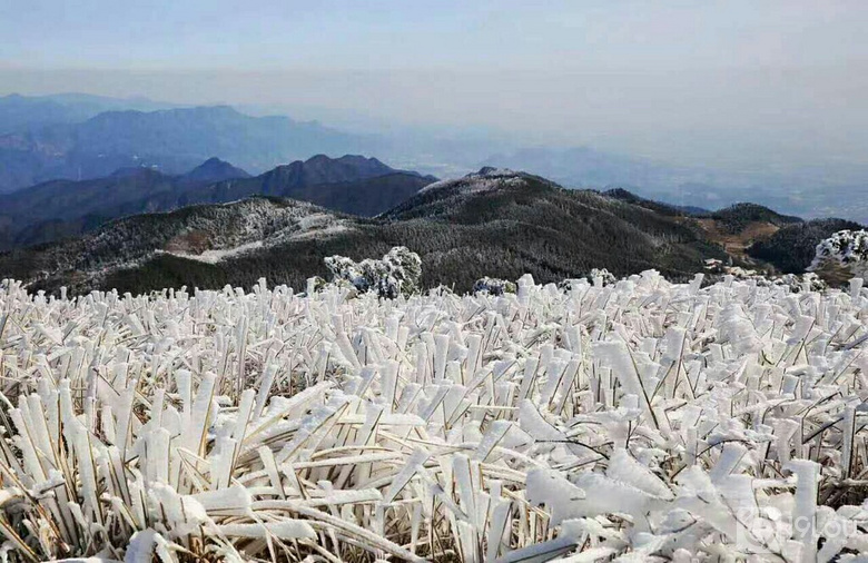 听雪落下的声音。