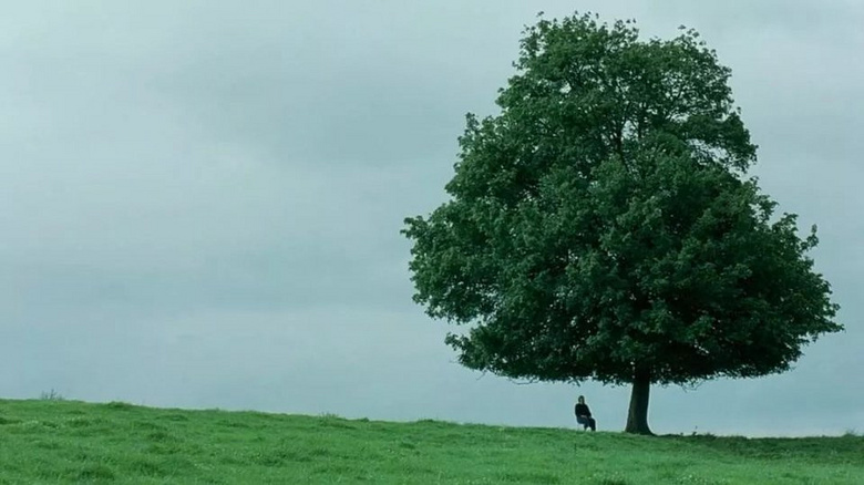树疙瘩电影图片
