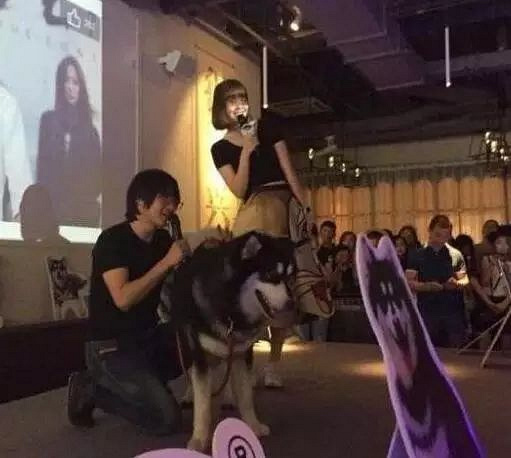 爱狗的明星，运气不会太差！