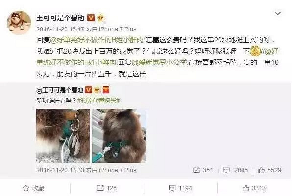 爱狗的明星，运气不会太差！