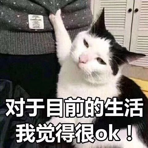 这组猫咪表情包越看越扎心,我仿佛听到了流泪的声音.-吸猫-杭州19楼