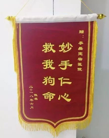 优秀!猫奴送医生"拆蛋专家"锦旗还附上了猫咪合照.