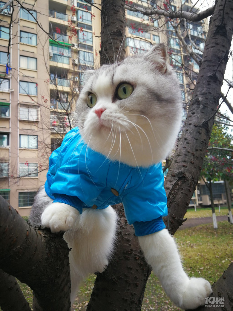 不下雨了,出门玩玩吧