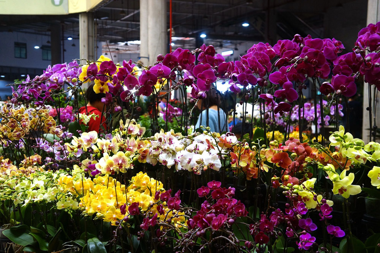 昆明斗南花卉市场(二)