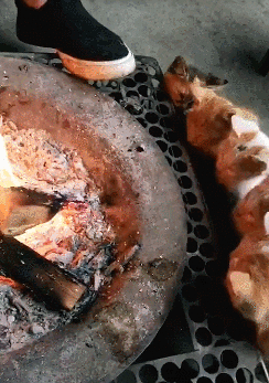 244_347竖版 竖屏gif 动态图 动图
