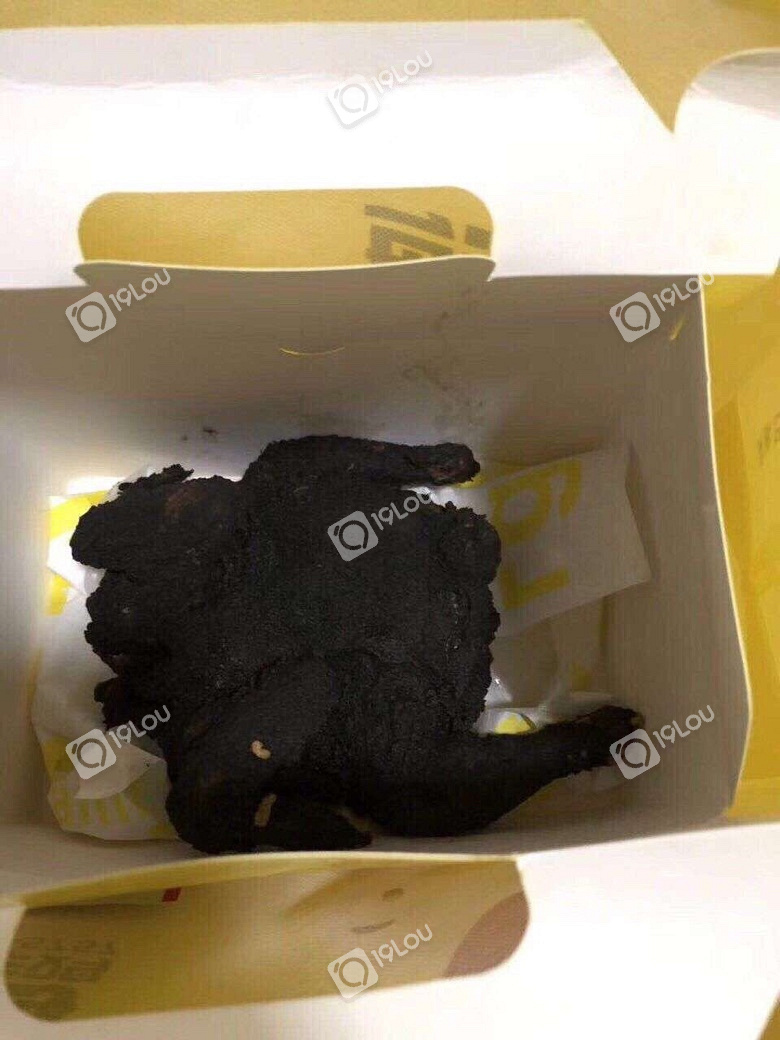 吃鸡已经不能满足我们,吃非洲鸡、外星鸡才