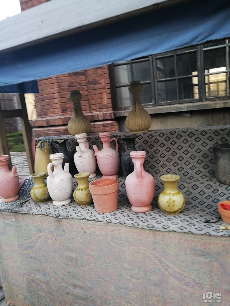 宁波看海行后续