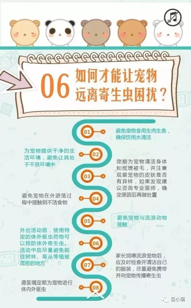 蜱虫,该怎么处理!