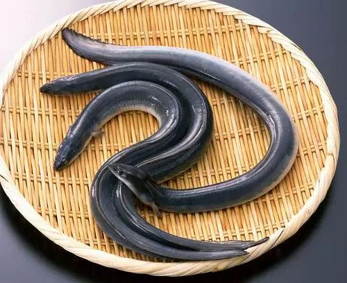 杭州人, 3月1日起钱塘江流域有重要举措!千岛湖鱼头还能吃